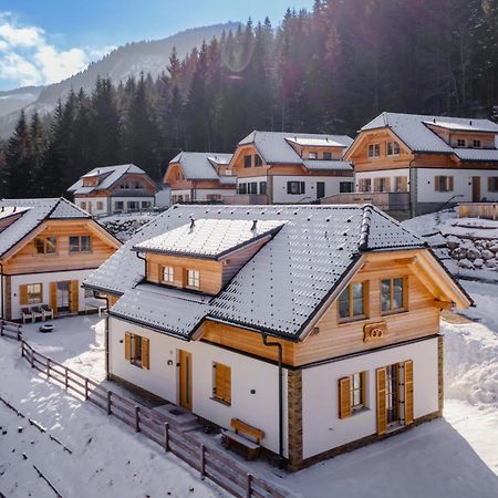 Chalet Pretzel Donnersbachwald Exterior photo